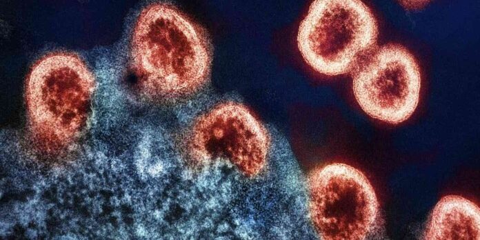 Scientists Discover Potential HIV Cure that Eliminates Disease from ...