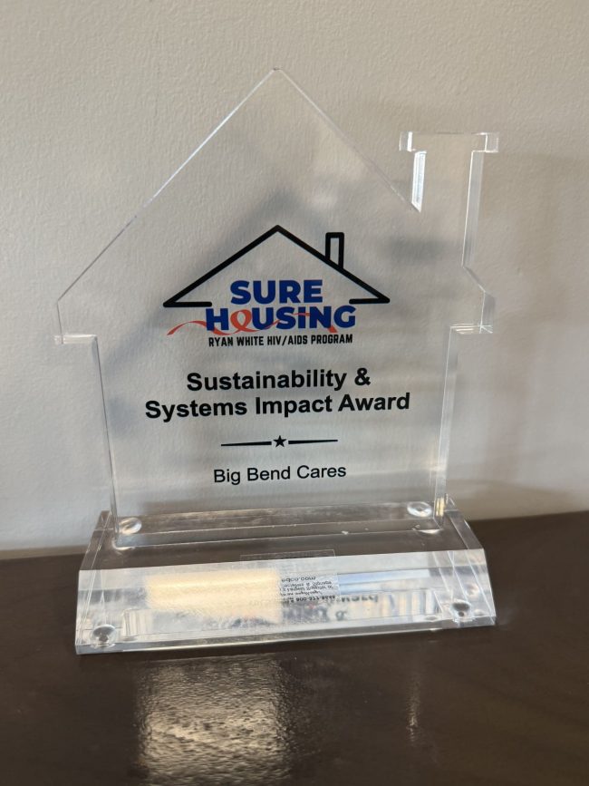 BBC Sustainability & Systems Impact Award