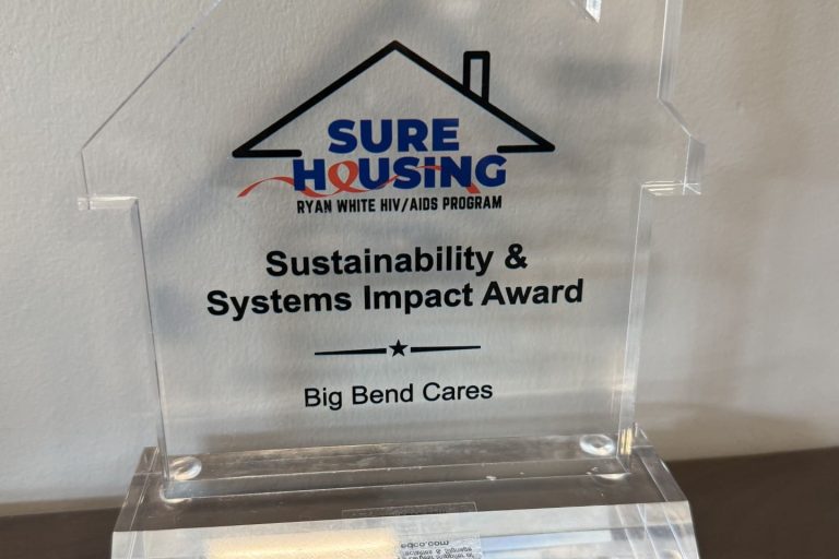BBC Sustainability & Systems Impact Award